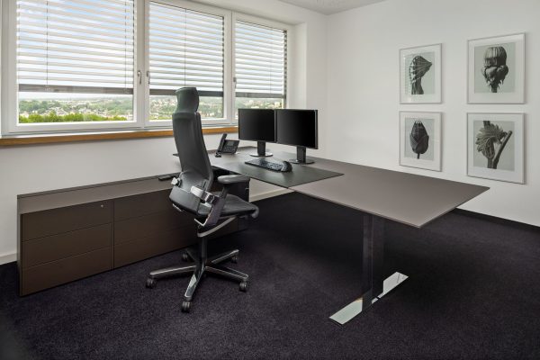 Hoeber_fritzoffice_Gesamtkonzeption und Einrichtung_Chefbuero_Walter Knoll